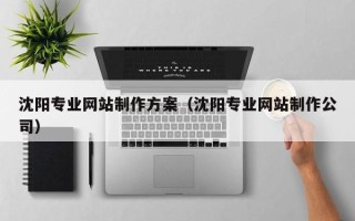 定州沈阳专业网站制作方案（沈阳专业网站制作公司）